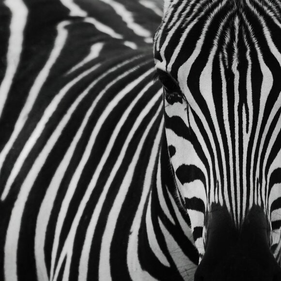 BUNDLE SALE 25% OFF 4 or more - LIMITED TIME - Picture 1 of 1